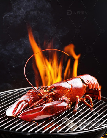 红色海洋珍宝：波士顿龙虾的美味展示17