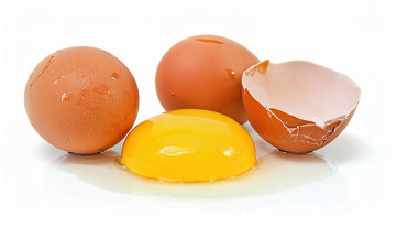 新鲜破裂的鸡蛋：蛋黄与蛋清的展示1