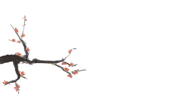 梅花 平面 国画