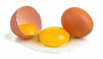 新鲜破裂的鸡蛋：蛋黄与蛋清的展示4