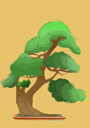 迎客松盆栽平面