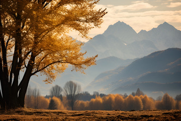 秋季森林树木山丘