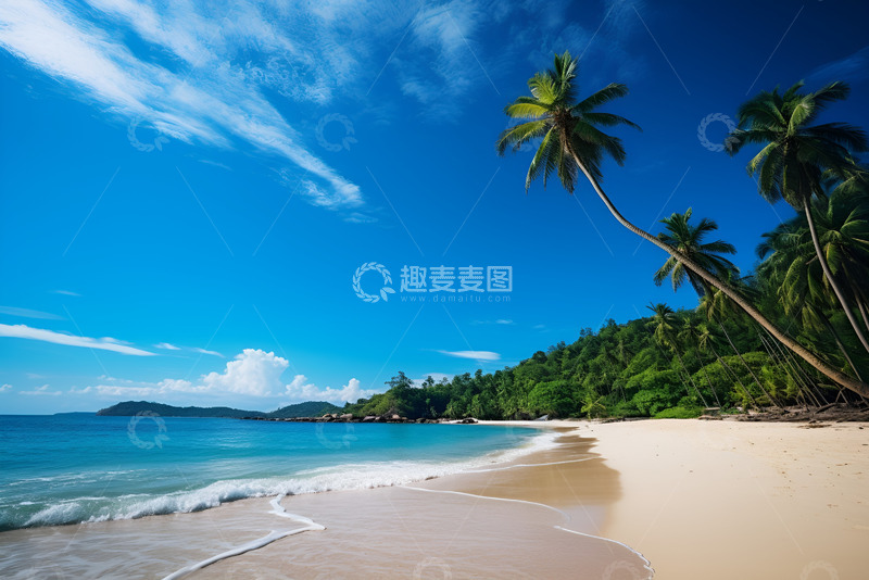 高清大图下载【趣麦麦图】海岸沙滩椰树