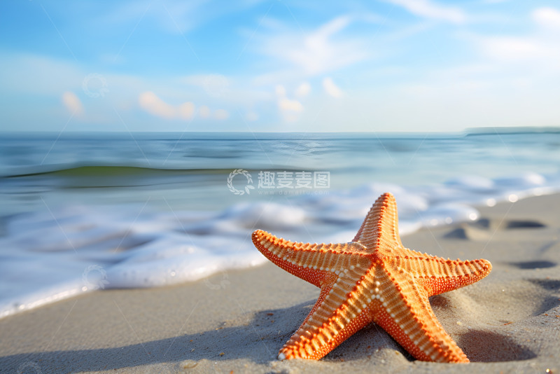 沙滩上的一只海星