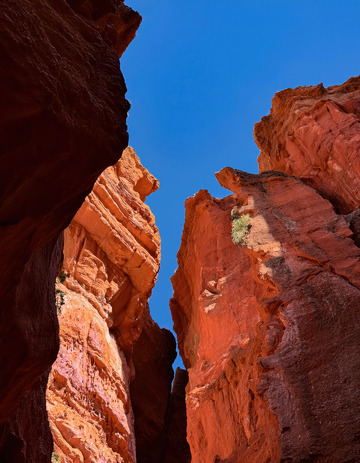 砂岩的自然历史记录