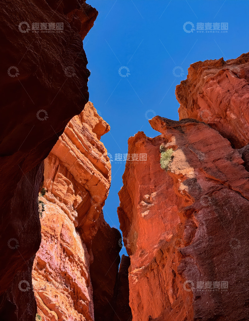 高清大图下载【趣麦麦图】砂岩的自然历史记录