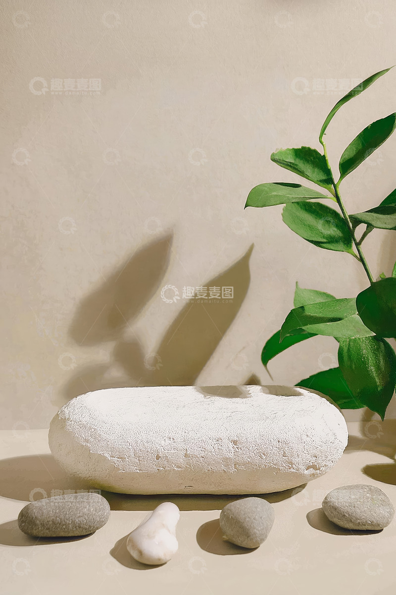 高清大图下载【趣麦麦图】室内装饰中的绿色呼吸