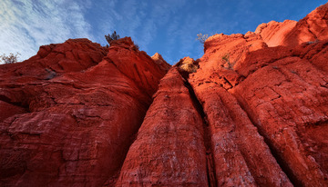 红色砂岩的地质艺术1