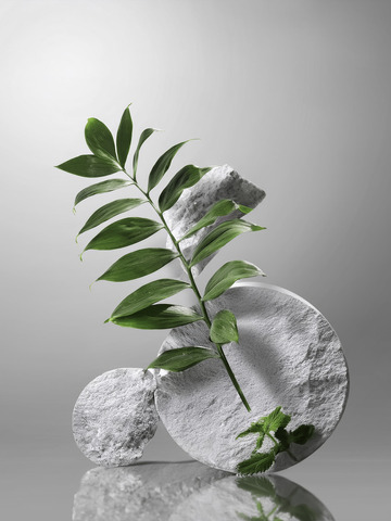 美妆背景展台的灰调背景苔鲜亮眼2