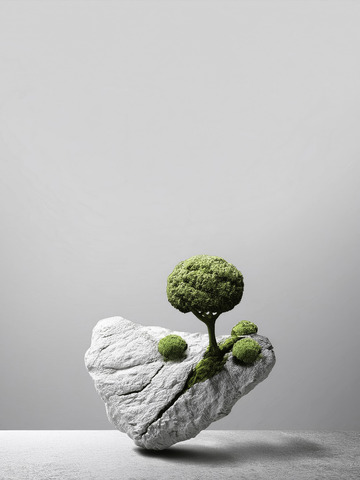 美妆背景展台的枯枝干斜苔润生趣1