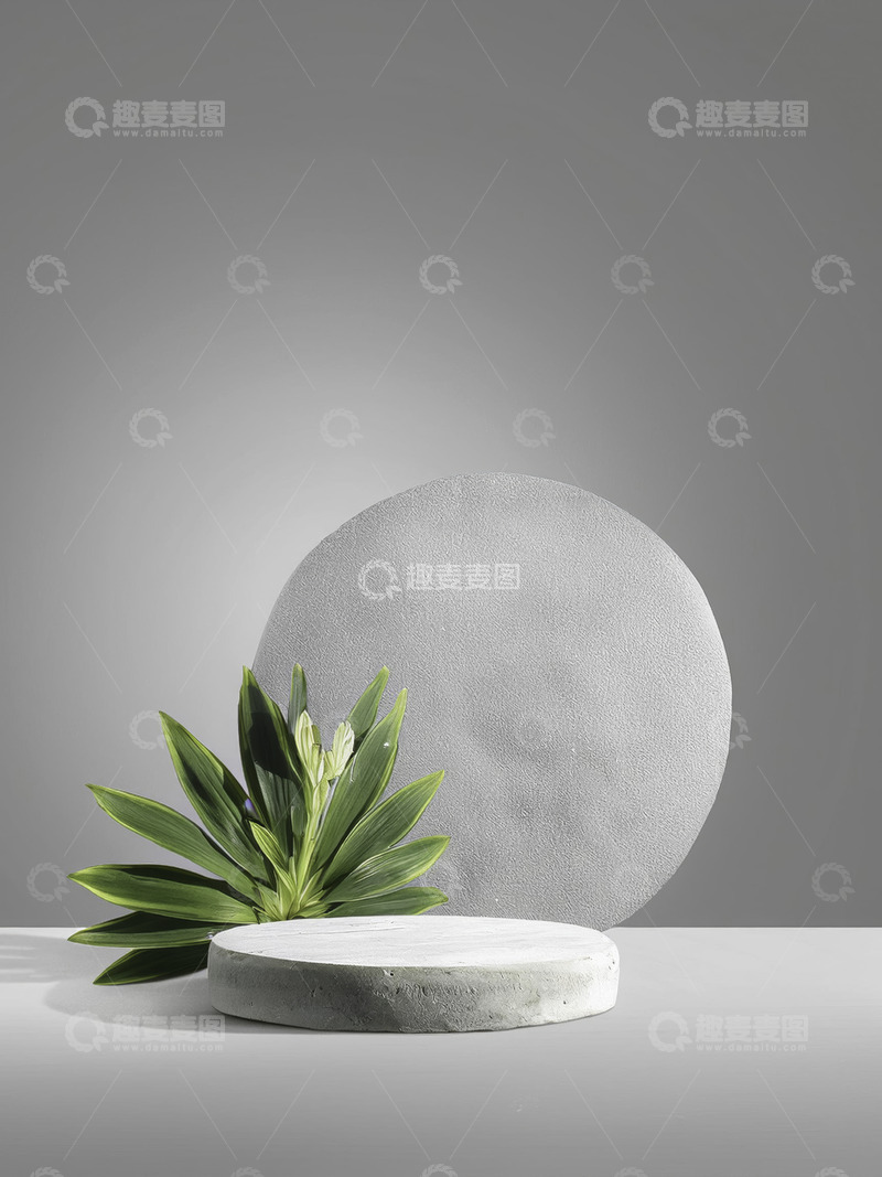 高清大图下载【趣麦麦图】美妆背景展台的灰调背景苔翠欲滴