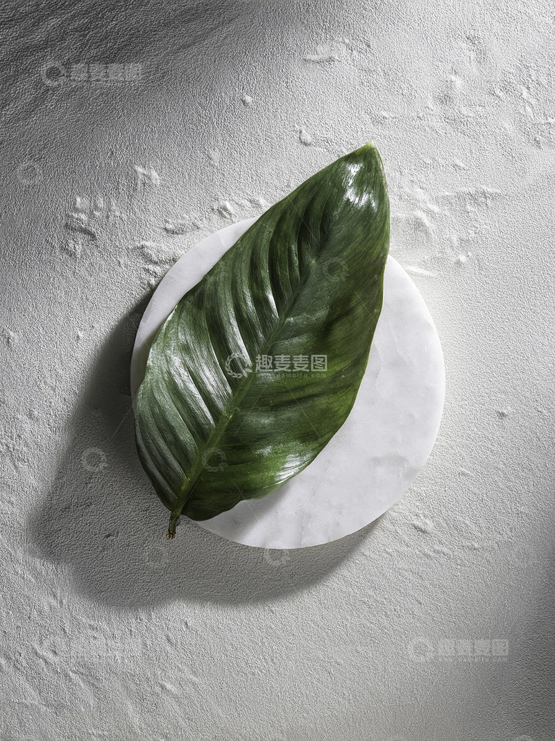 高清大图下载【趣麦麦图】美妆背景展台的岩石苔藓妆合美妙