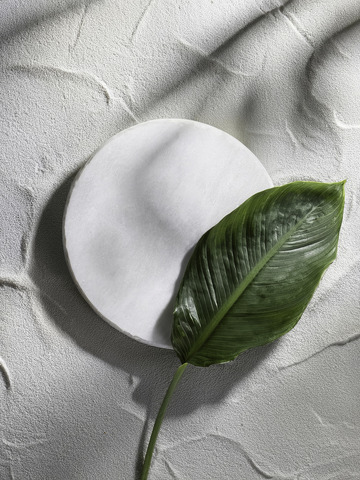 美妆背景展台的枯枝干倚石美如画