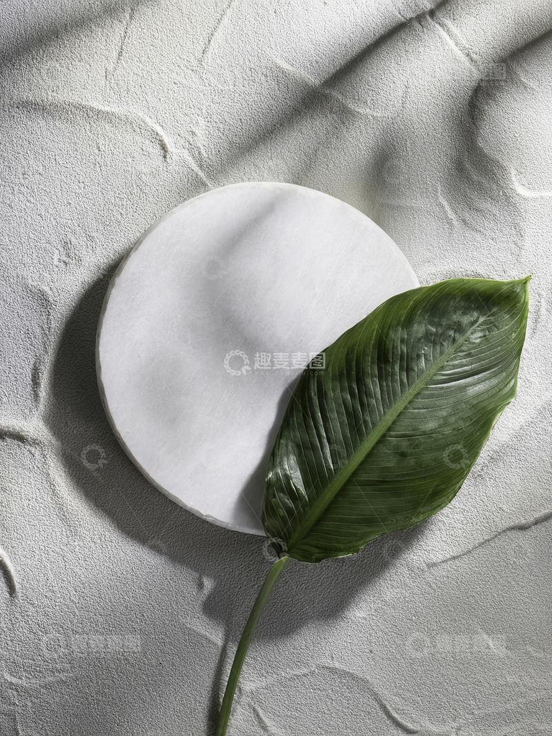 高清大图下载【趣麦麦图】美妆背景展台的枯枝干倚石美如画