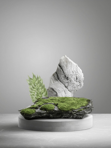 美妆背景展台的岩石苔藓妆衬优雅1