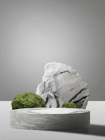 美妆背景展台的枯枝干斜苔伴添韵