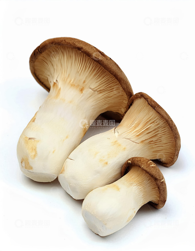高清大图下载【趣麦麦图】营养丰富菌菇杏鲍菇1