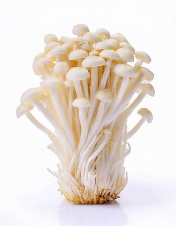 营养健康金针菇