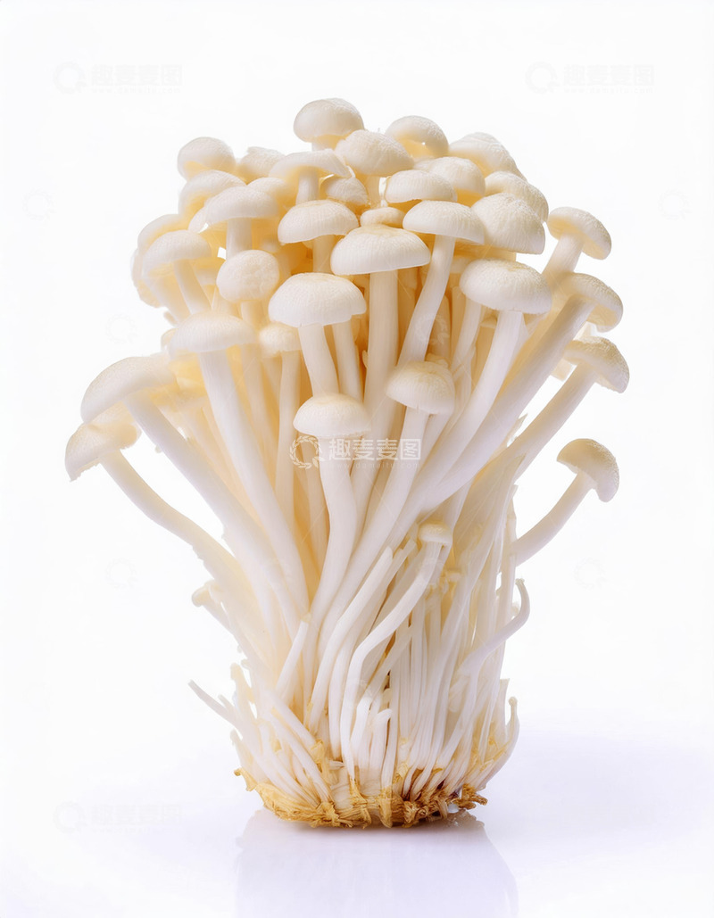 高清大图下载【趣麦麦图】营养健康金针菇