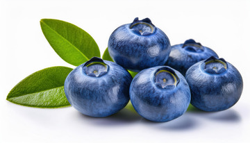 矿物质多样蓝莓