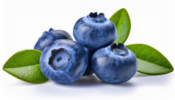 营养水果蓝莓