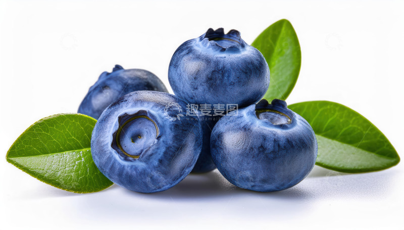 高清大图下载【趣麦麦图】营养水果蓝莓