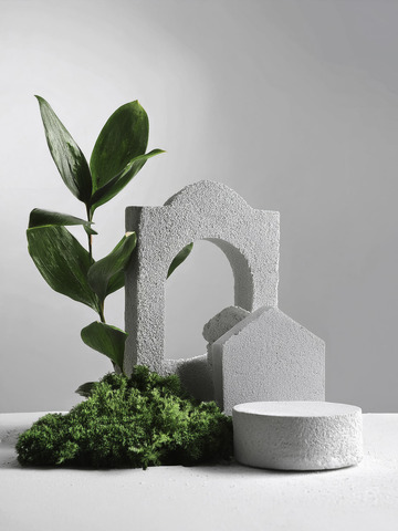 美妆背景展台的枯枝干倚石悠韵长2