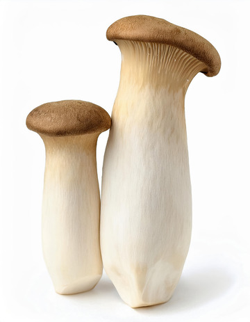 菌香浓郁杏鲍菇1