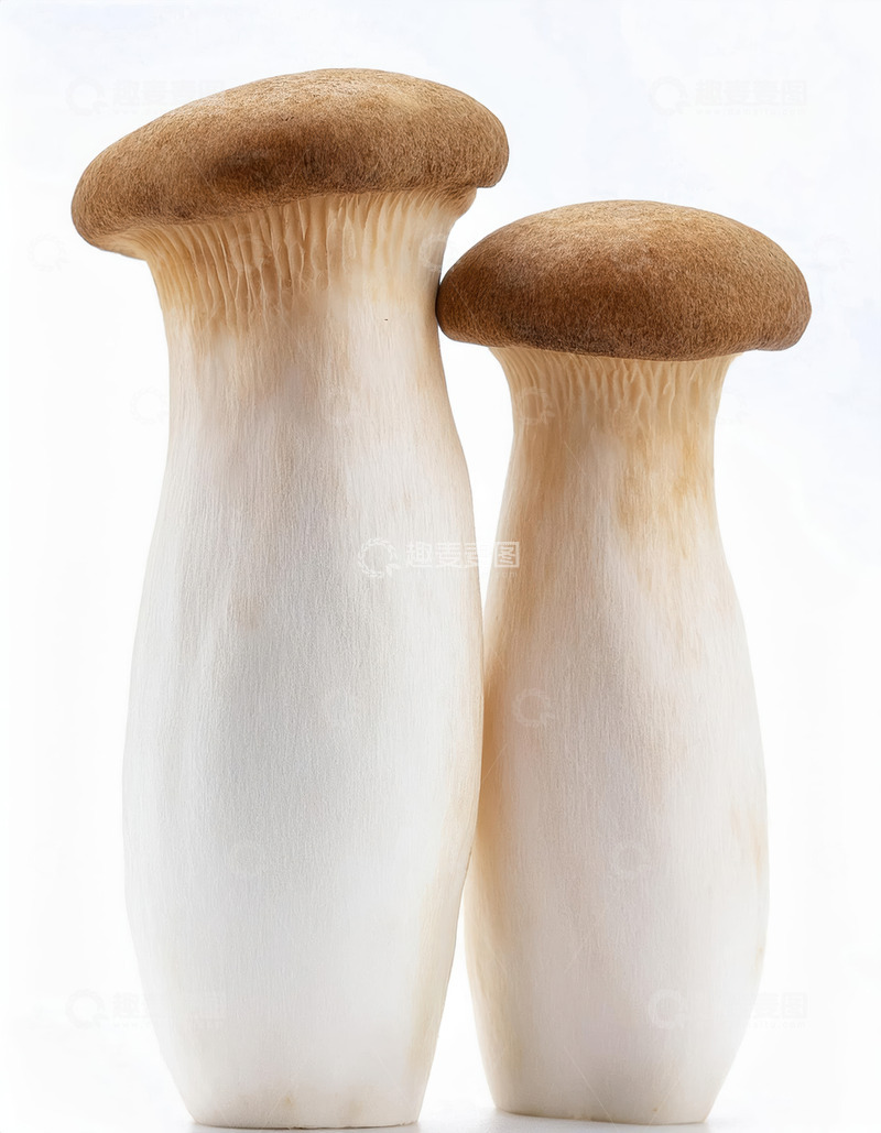 高清大图下载【趣麦麦图】鲜嫩杏鲍菇食材