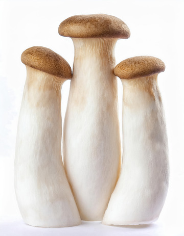 鲜嫩多汁菌菇杏鲍菇1