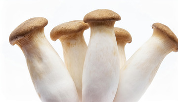 菌香扑鼻杏鲍菇