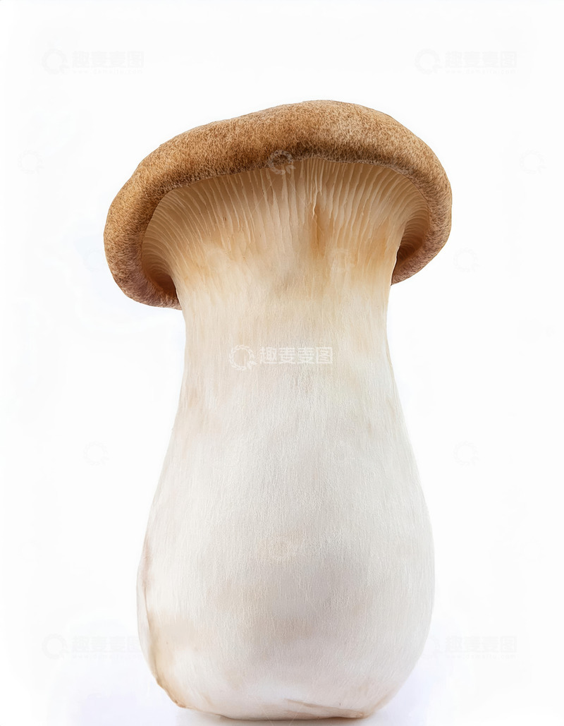 高清大图下载【趣麦麦图】营养丰富菌菇杏鲍菇