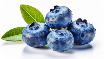 保护心血管蓝莓