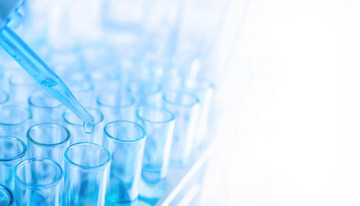 试管中的科研点滴