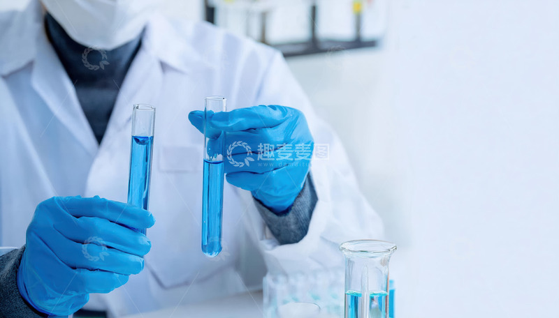 实验室设备的科研人员伙伴