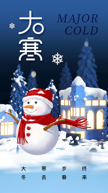 大寒节气宣传海报78