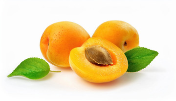 杏子的形态艺术写真