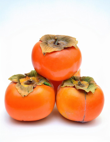 柿子的果实形状造型