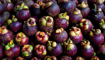 水果销售的山竹魅力