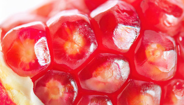 石榴籽的果实精华聚焦