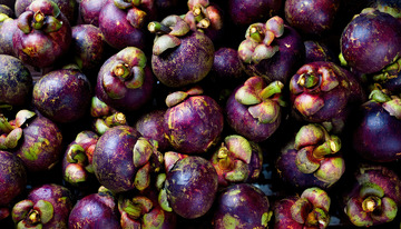 水果食材的山竹鲜活