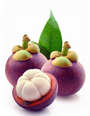 山竹的光滑果皮质感