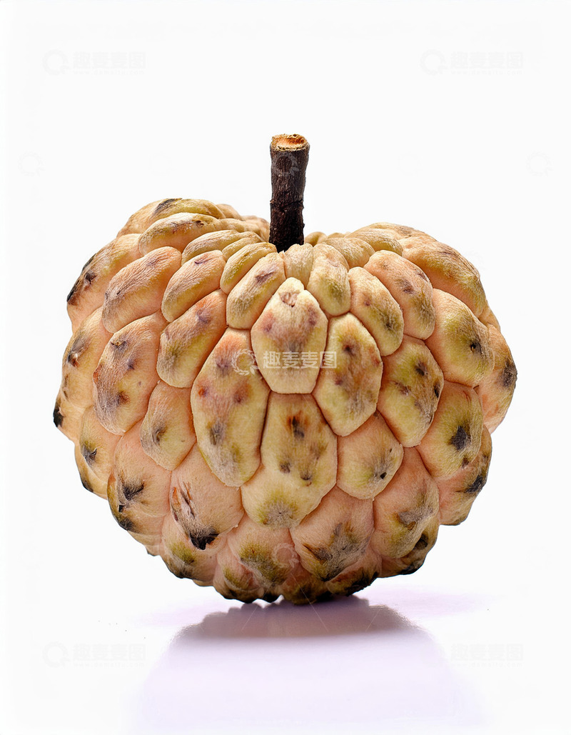 高清大图下载【趣麦麦图】一个黄色完整释迦果
