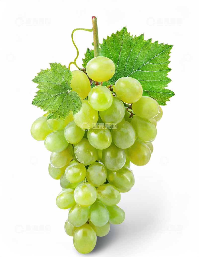 高清大图下载【趣麦麦图】一整串带叶子绿色葡萄垂直构图