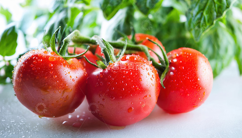 高清大图下载【趣麦麦图】-水果食材的红色圣女果魅力