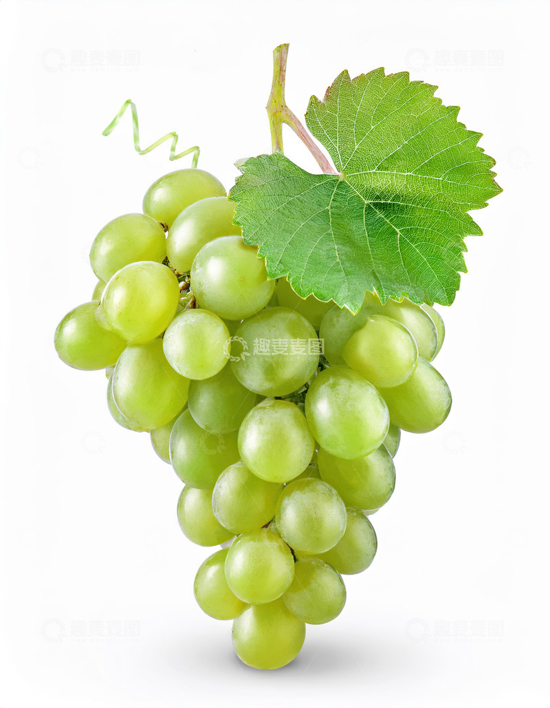 高清大图下载【趣麦麦图】一整串带叶子绿色葡萄2