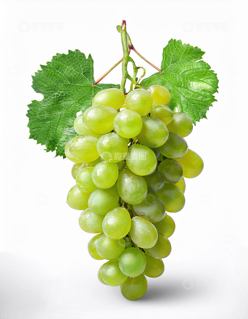 高清大图下载【趣麦麦图】一整串带叶子绿色葡萄垂直构图1