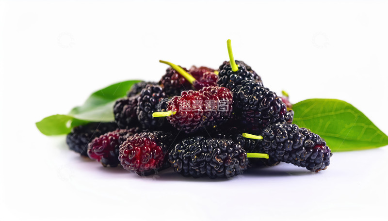 高清大图下载【趣麦麦图】美味桑葚的口感期待