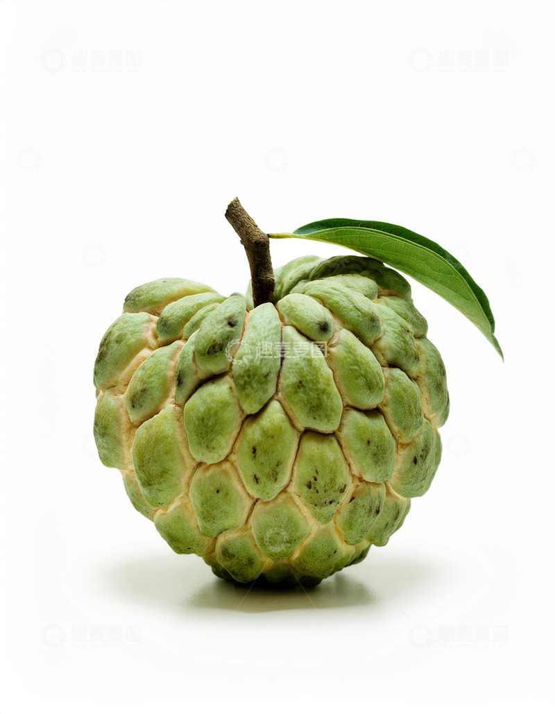 高清大图下载【趣麦麦图】-一个绿色完整释迦果