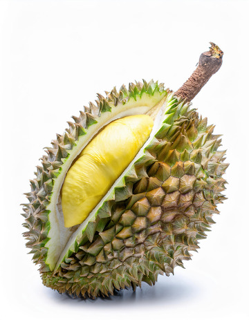 榴莲食材：烹饪创意的多样选择